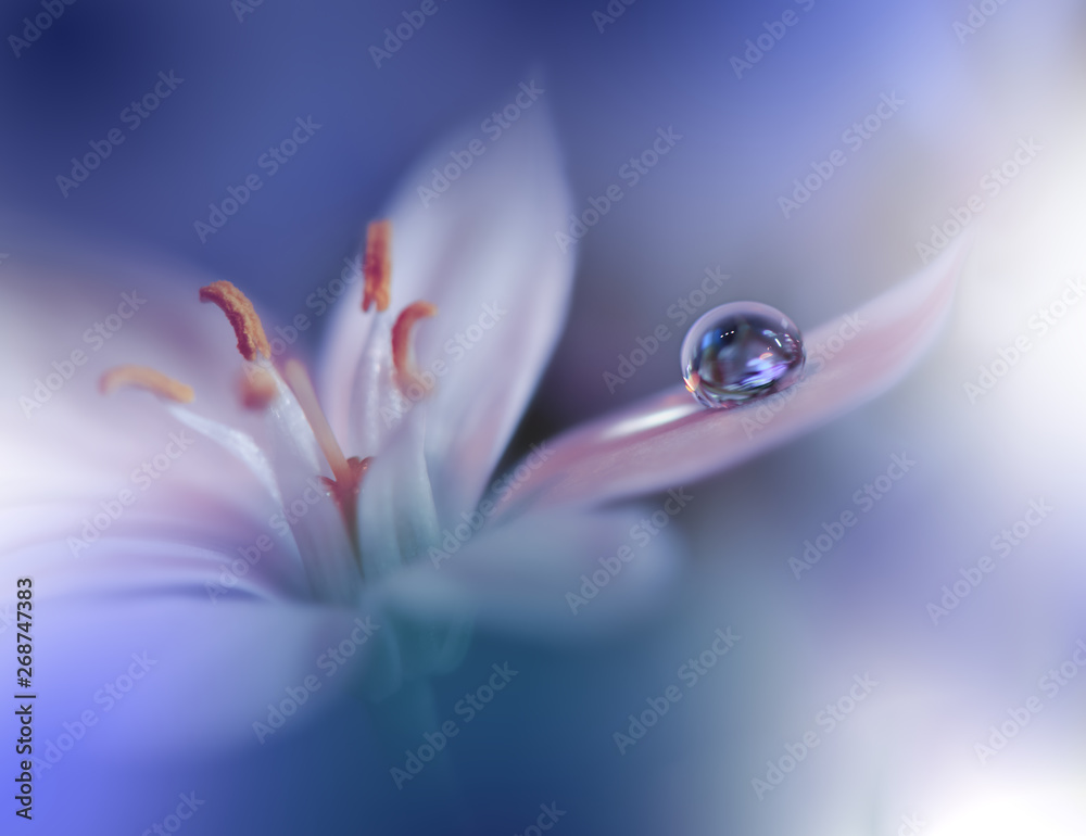 Beautiful Blue Nature  up  Macro Photo  of Amazing Spring Magic   Floral   Artistic  Water  Flower. Stock Photo | Adobe  Stock