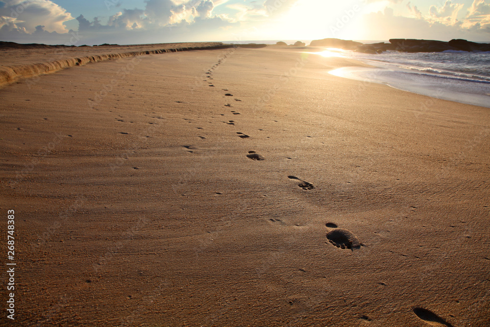 Footprints in the sand at sunrise Footprints in the sand at sunrise