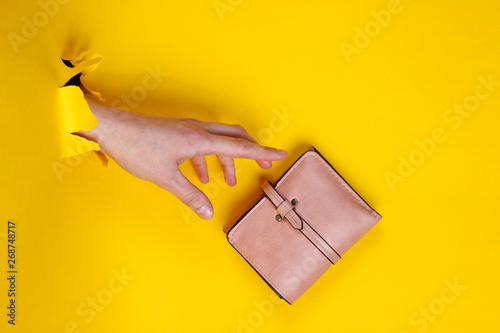 Female hand holding pink wallet through torn yellow paper. Minimalistic creative fashion concept