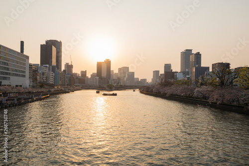 夕方の大川 © kenta57