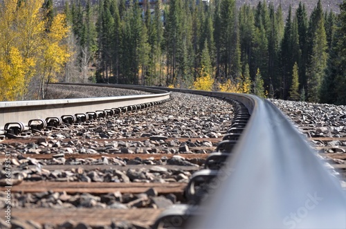 railway in the forest
