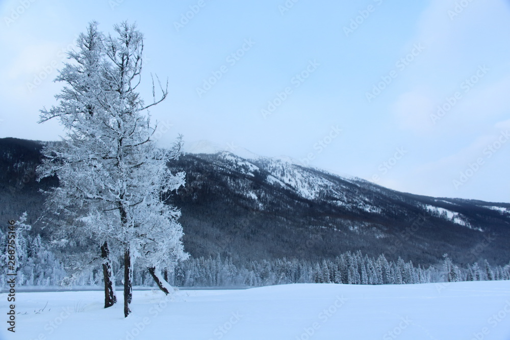 winter mountain landscape