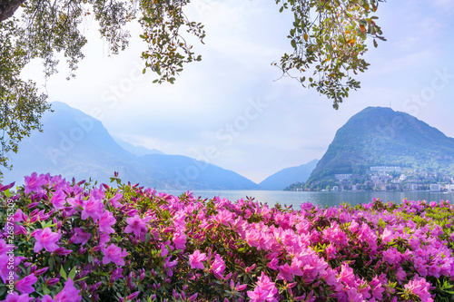 Beautiful view of the lake surrounded by mountains from the botanical flower garden of Lugano on a spring morning  Ticino  Switzerland