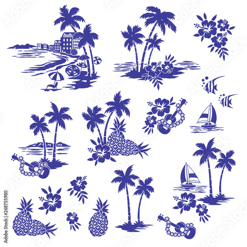 I made Hawaiian shore scenery an illustration,