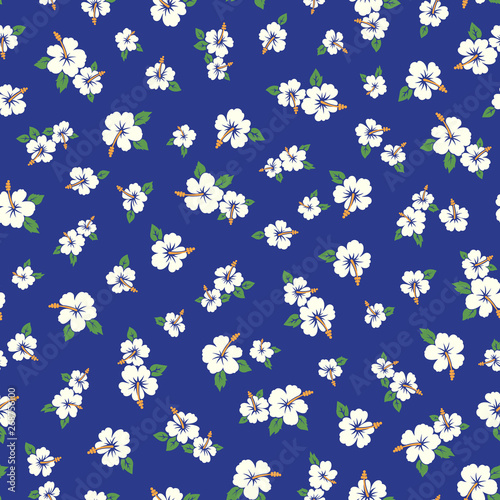 A flower pattern illustration of the Hibiscus.
