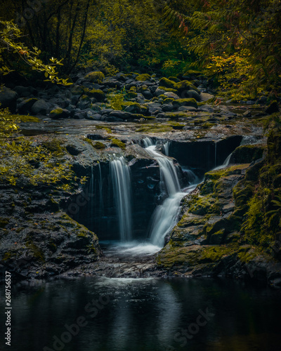 Creek waterfall flows through lush and tranquil forest in Oregon