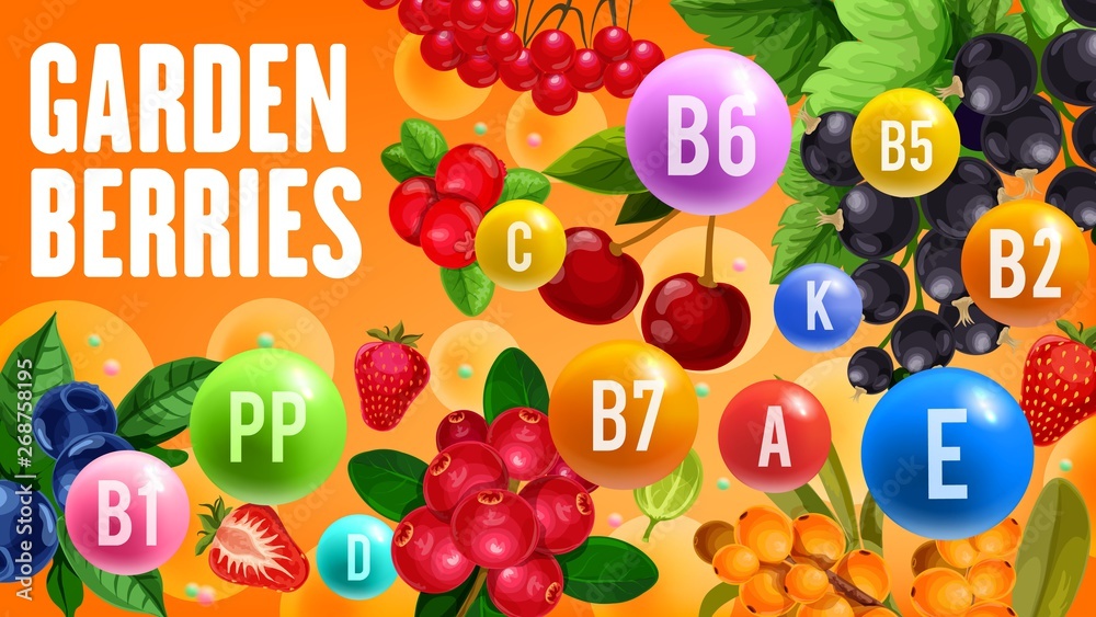 Healthy vitamins in organic garden berry fruits Healthy vitamins in organic garden berry fruits