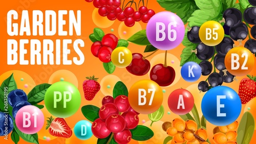 Healthy vitamins in organic garden berry fruits