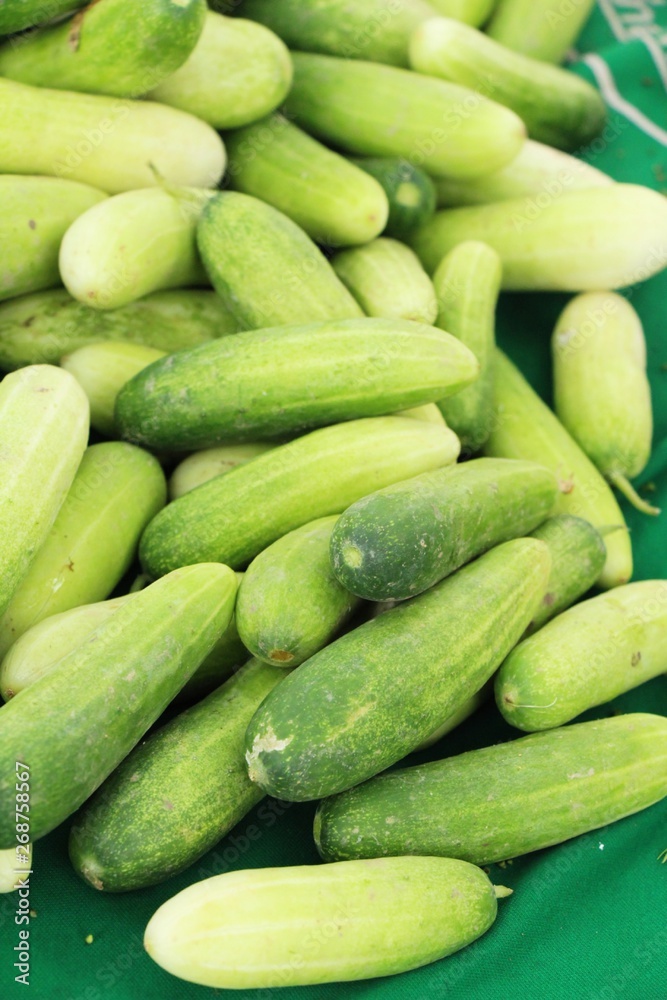 Fresh cucumbers for cooking in the market Fresh cucumbers for cooking in the market