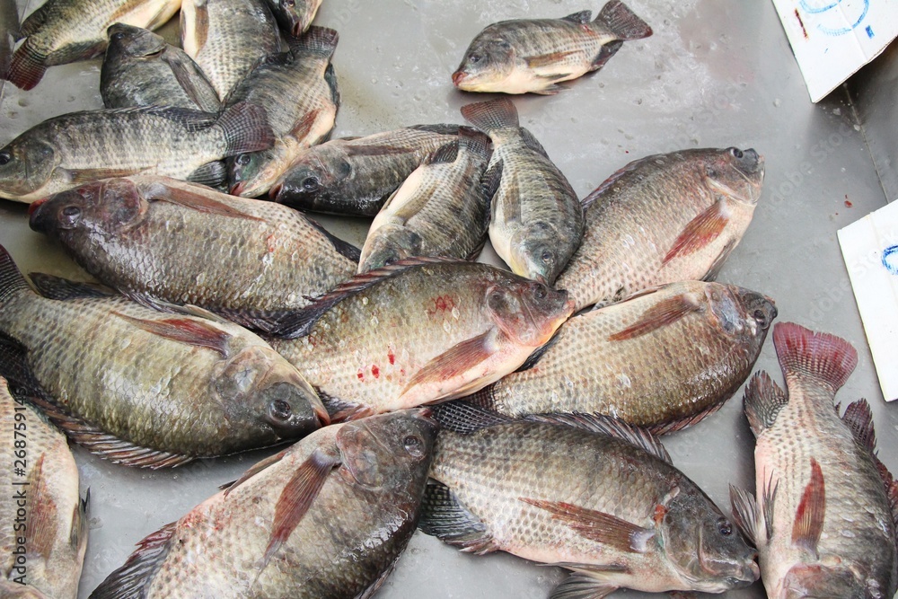 Fresh fish for cooking at street food