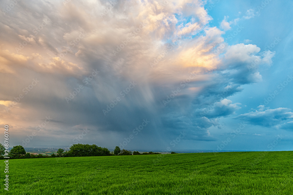 green field and blue sky