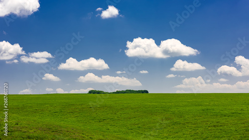 Panoramic view to green field with clouds in the blue sky