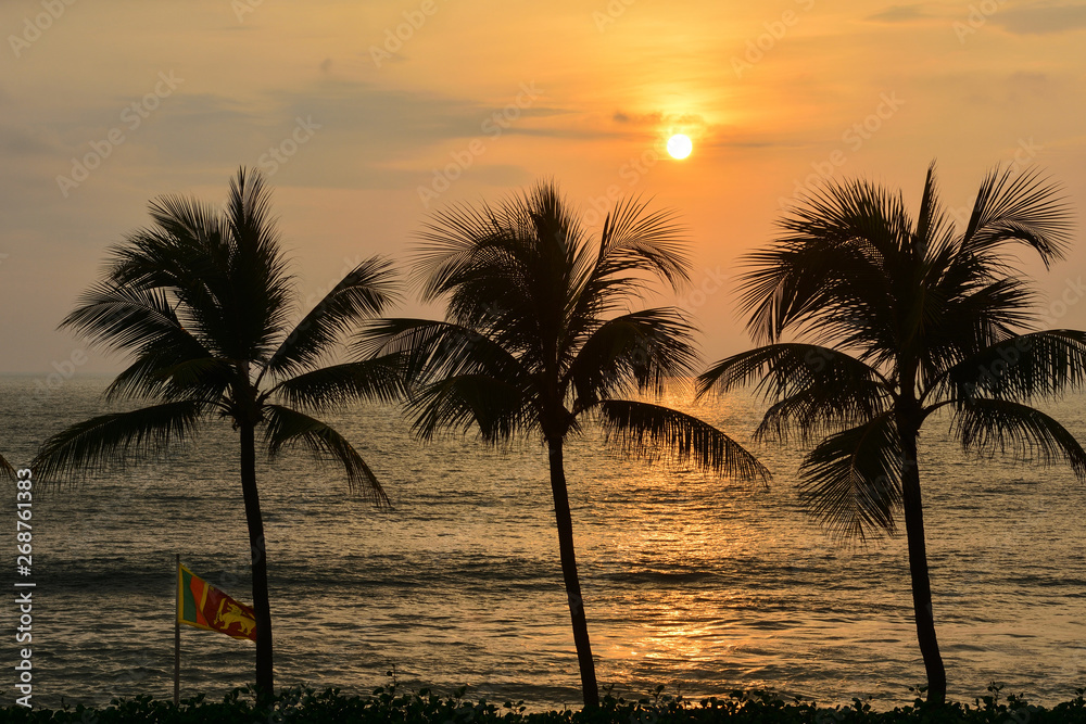 Sri Lanka Colombo sunset palms with national flag