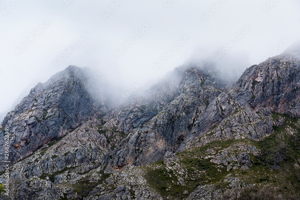 The Sentinels mountain range on the Gordon River Road in Tasmania. The Sentinels mountain range on the Gordon River Road in Tasmania.