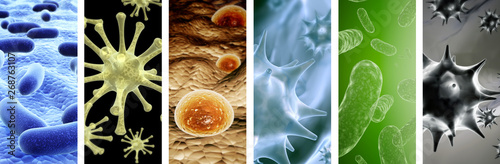 Set of vertical banners with pathogenic bacterias and viruses