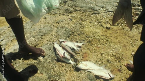 Bay Shore Fisherman Cleaning fish, Pinders Point, Grand Bahama, Bahamas photo