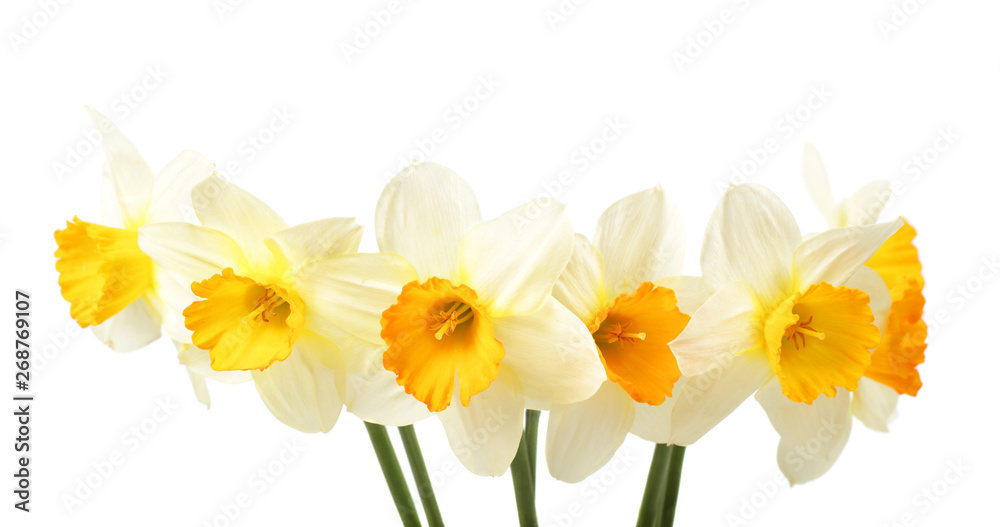 Bouquet of  white and yellow narcissus flowers