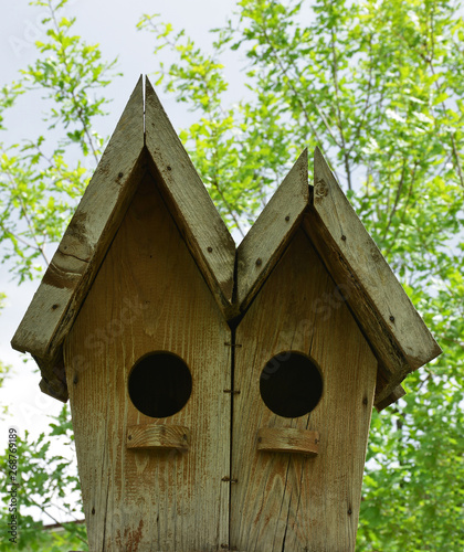 wooden birdhouse on a tree © aykutkarahan