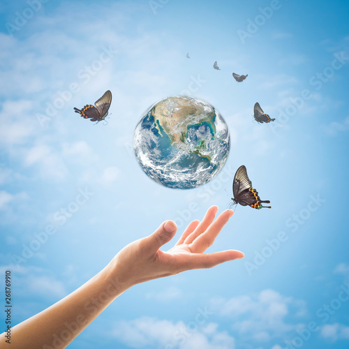 Fototapeta Naklejka Na Ścianę i Meble -  World environment day, ecology and ozone layer protection concept with woman's hand supporting earth planet under sun light flare with beautiful butterfly: Elements of this image furnished by NASA ..