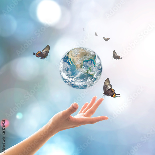 Fototapeta Naklejka Na Ścianę i Meble -  World environment day, ecology and ozone layer protection concept with woman's hand supporting earth planet under sun light flare with beautiful butterfly: Elements of this image furnished by NASA ..