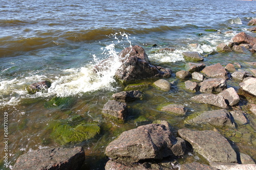 rocks on beach