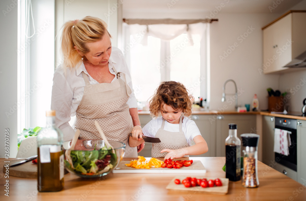 A portrait of small girl with grandmother at home, preparing vegetable salad.