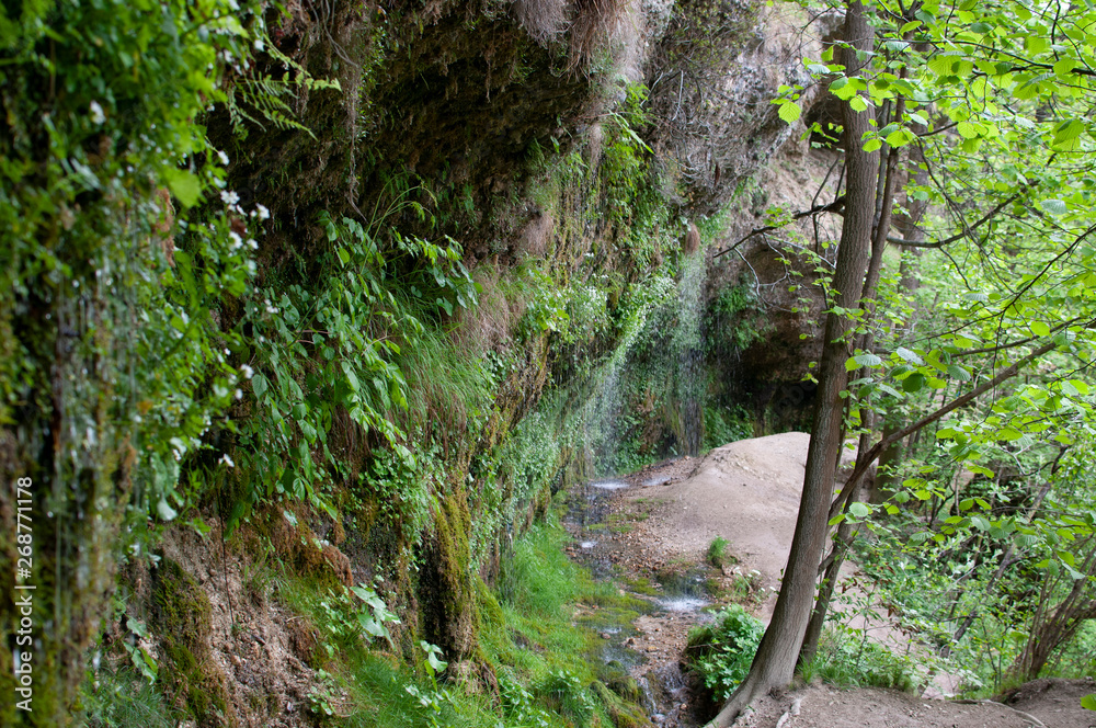 Rinnende Mauer bei Molln in Oberösterreich, Wanderung Rinnende Mauer bei Molln in Oberösterreich, Wanderung