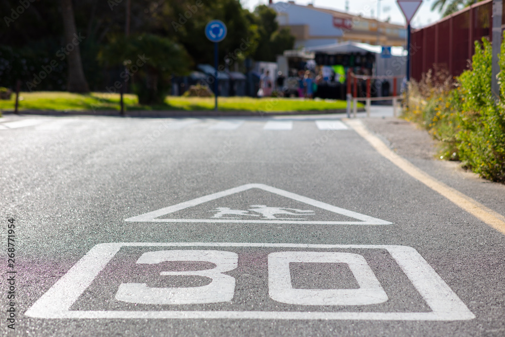 Obraz premium a warning in front of a school with children is painted on the asphalt and also a speed limit of 30 kilometers per hour. In the background is a green planted roundabout.