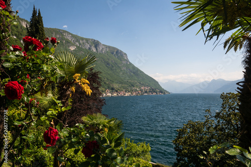 Obraz na płótnie Üppige Pflanzenvielfalt am Ufer des Lago di Como w salonie