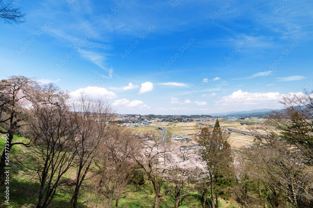 【岩手平泉】桜満開の中尊寺東物見台から眺める北上川、束稲山