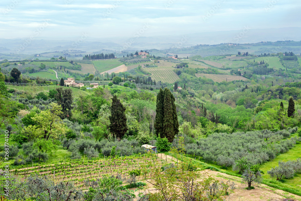 Beautiful spring froggy landscape in Tuscany