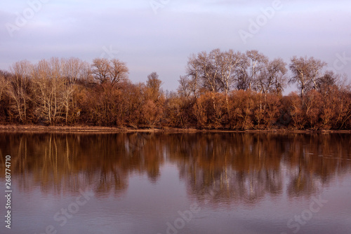 Hungary: The beautiful banks of Danube Donau river in red late afternoon sunlight with trees, bushes, reflection and grey sky - concept awsome nature beauty water reserve natural travel environment