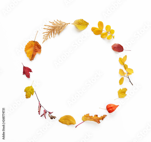 Autumn frame of fallen leaves