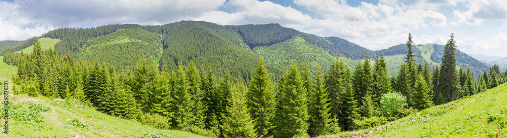 Mountain ridge in the Carpathian Mountains covered with forest