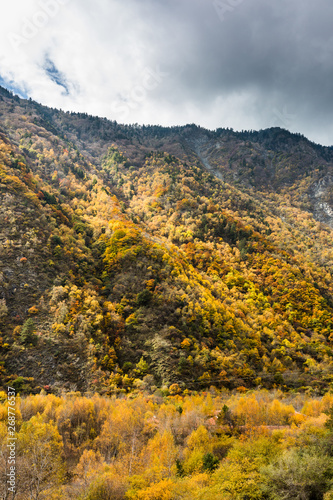 fall in mountain of China