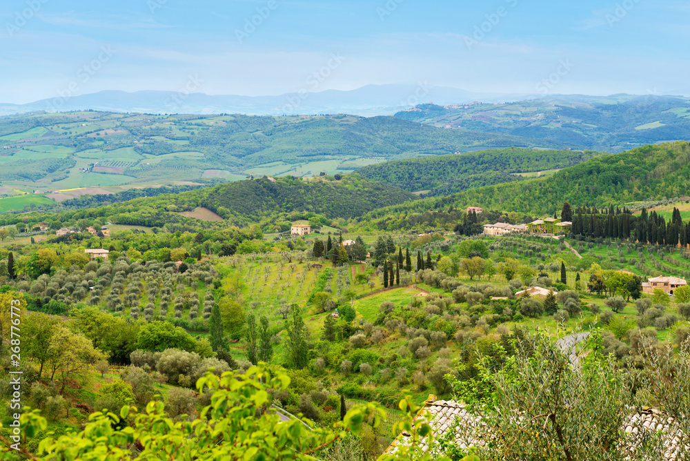 Beautiful spring froggy landscape in Tuscany Beautiful spring froggy landscape in Tuscany