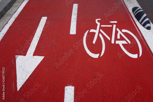 bicycle traffic sign on the road in the street, traffic signal in the city