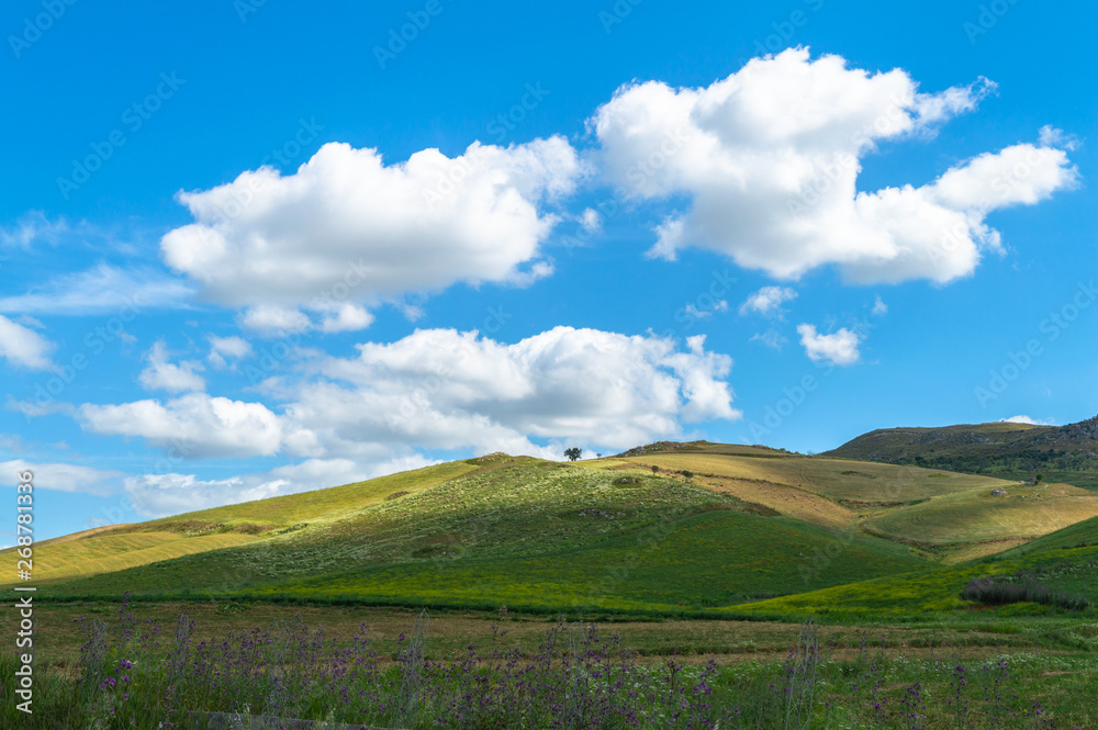 Green Sicilian Hills, Caltanissetta, Italy, Europe Green Sicilian Hills, Caltanissetta, Italy, Europe