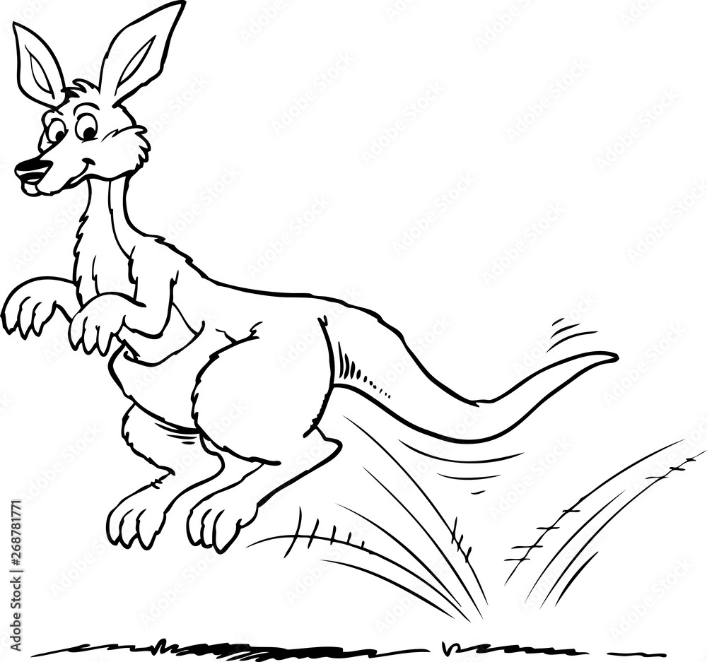 Fototapeta premium kangaroos jump in graphics on a white background vector