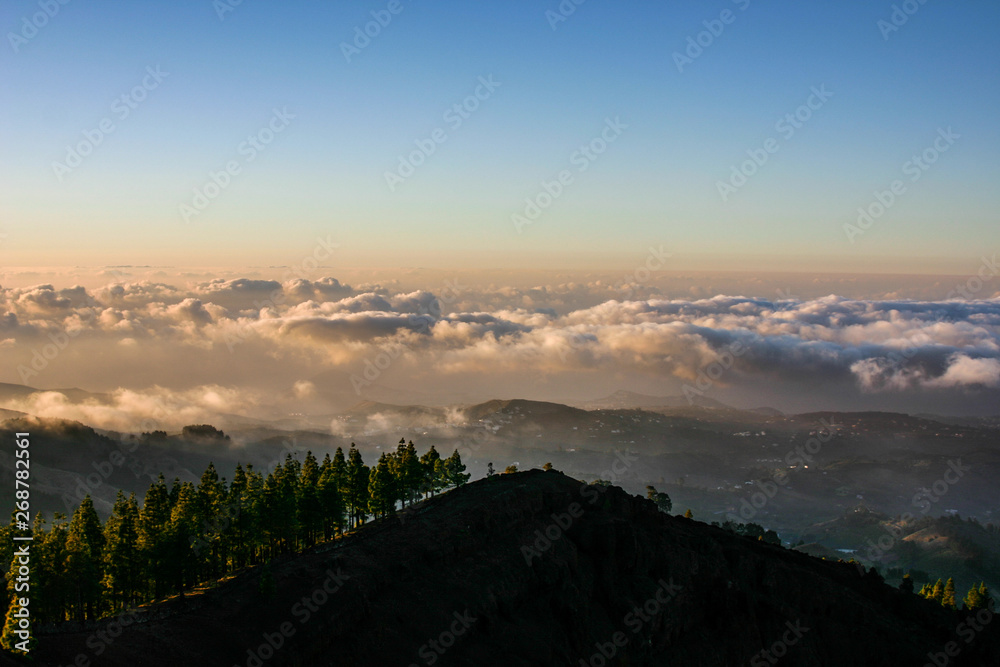 clouds and pines in canary islands