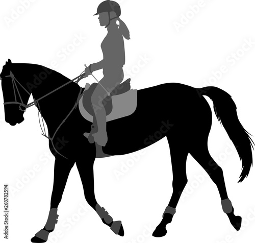 detailed silhouette of young female riding elegant horse