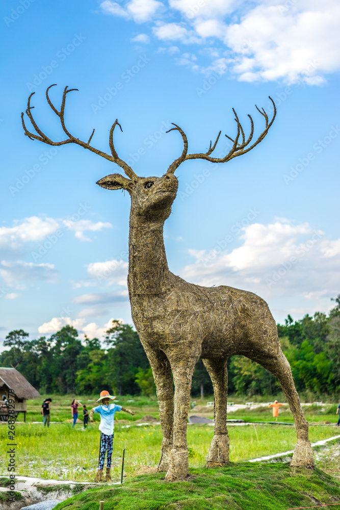 Naklejka premium grass deer in field of Thailand