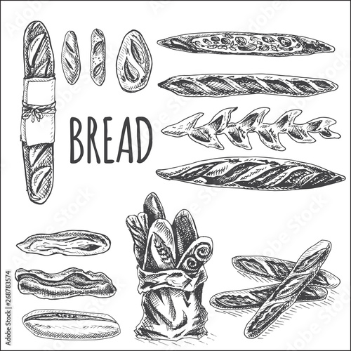 Vector illustration sketch - bakery. bread, loaf, baguette.