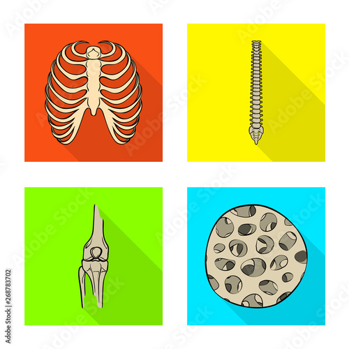 Vector illustration of bone and skeleton logo. Collection of bone and human vector icon for stock. © pandavector