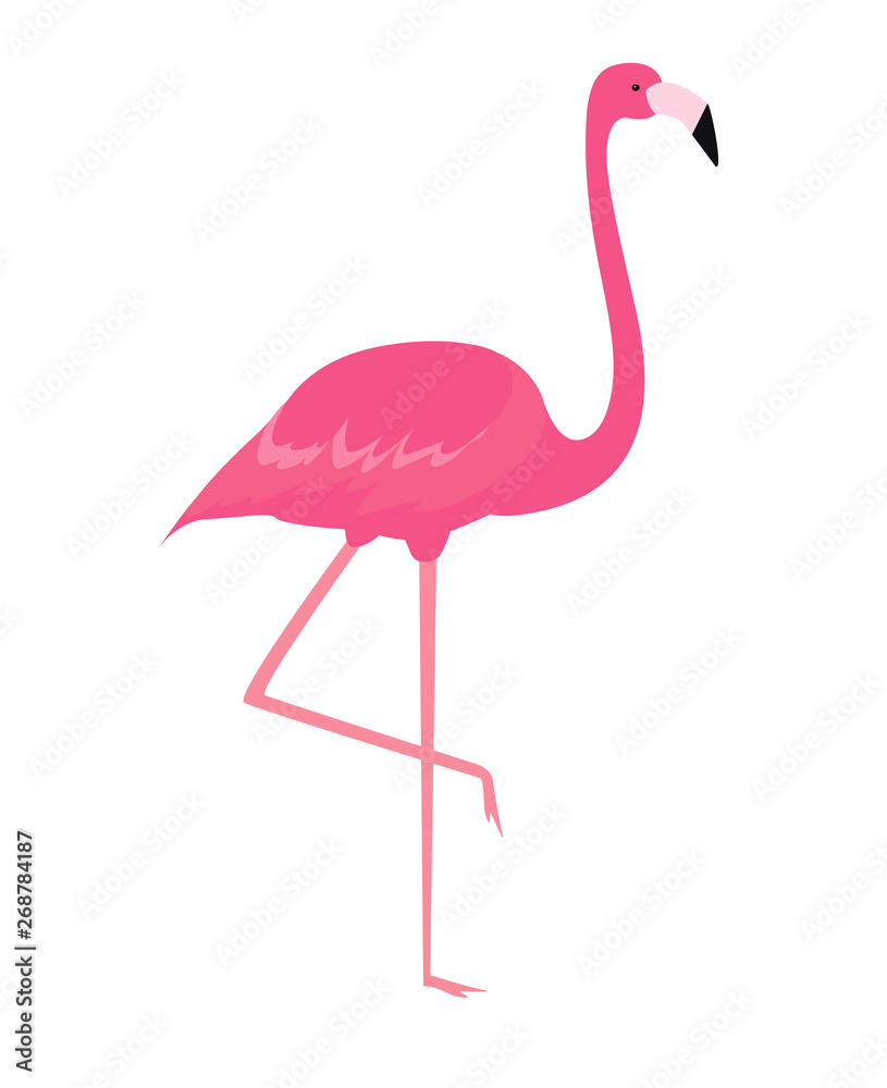 Fototapeta premium Colorful cartoon pink flamingo on one leg stands on white background. Vector Illustration