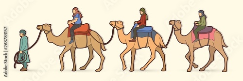 Cameleer with camels cartoon graphic vector