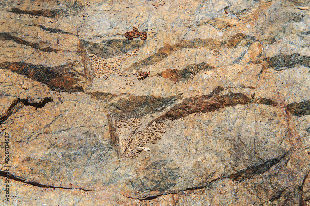 Stone texture background/The detail texture of sandstone/Colorful natural stone background/ Stone texture background/The detail texture of sandstone/Colorful natural stone background/