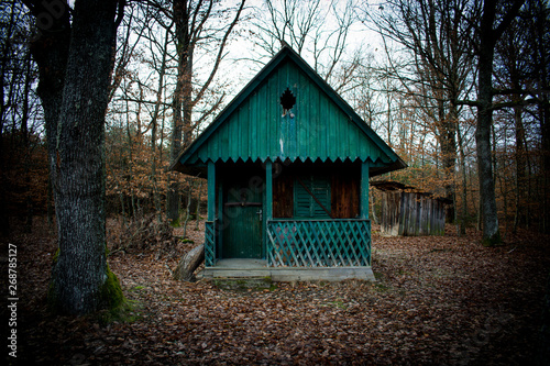 wooden house in the forest © Dorina