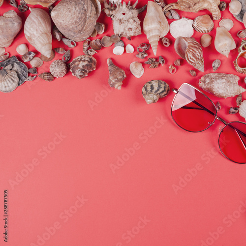 Sunglasses and different type of seashells on coral background