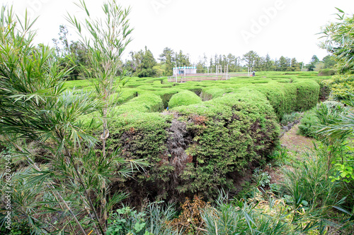 Jeju Kimnyoung Maze Park